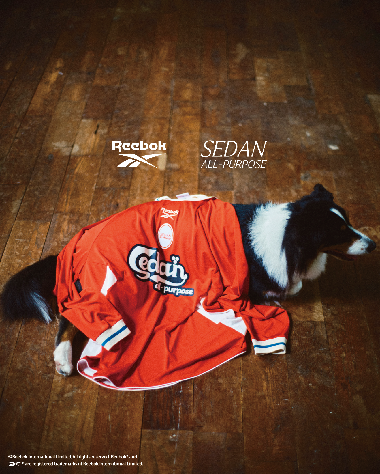 【26SS】Reebok / L/S Game Shirt