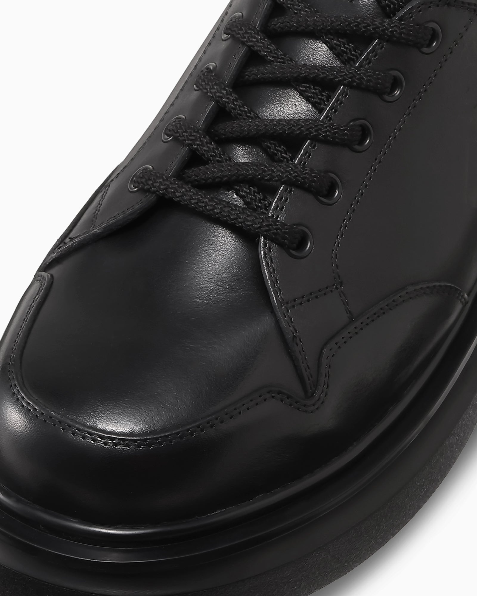 【3/6(金)発売】ROYAL STAR WP