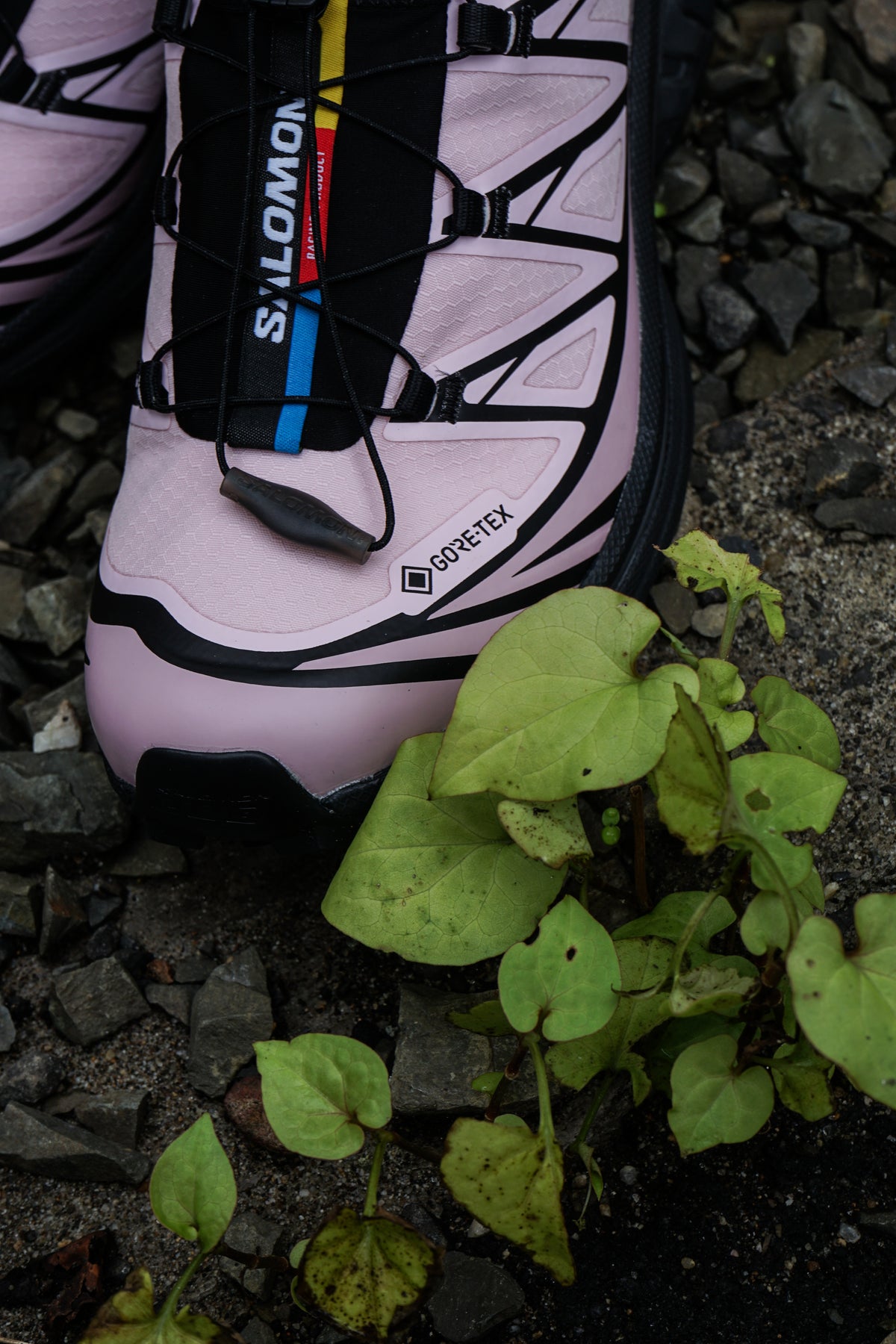 【9/16(水)発売】XT-6 GTX ( BLACK/ICY PINK/DAWN PINK )