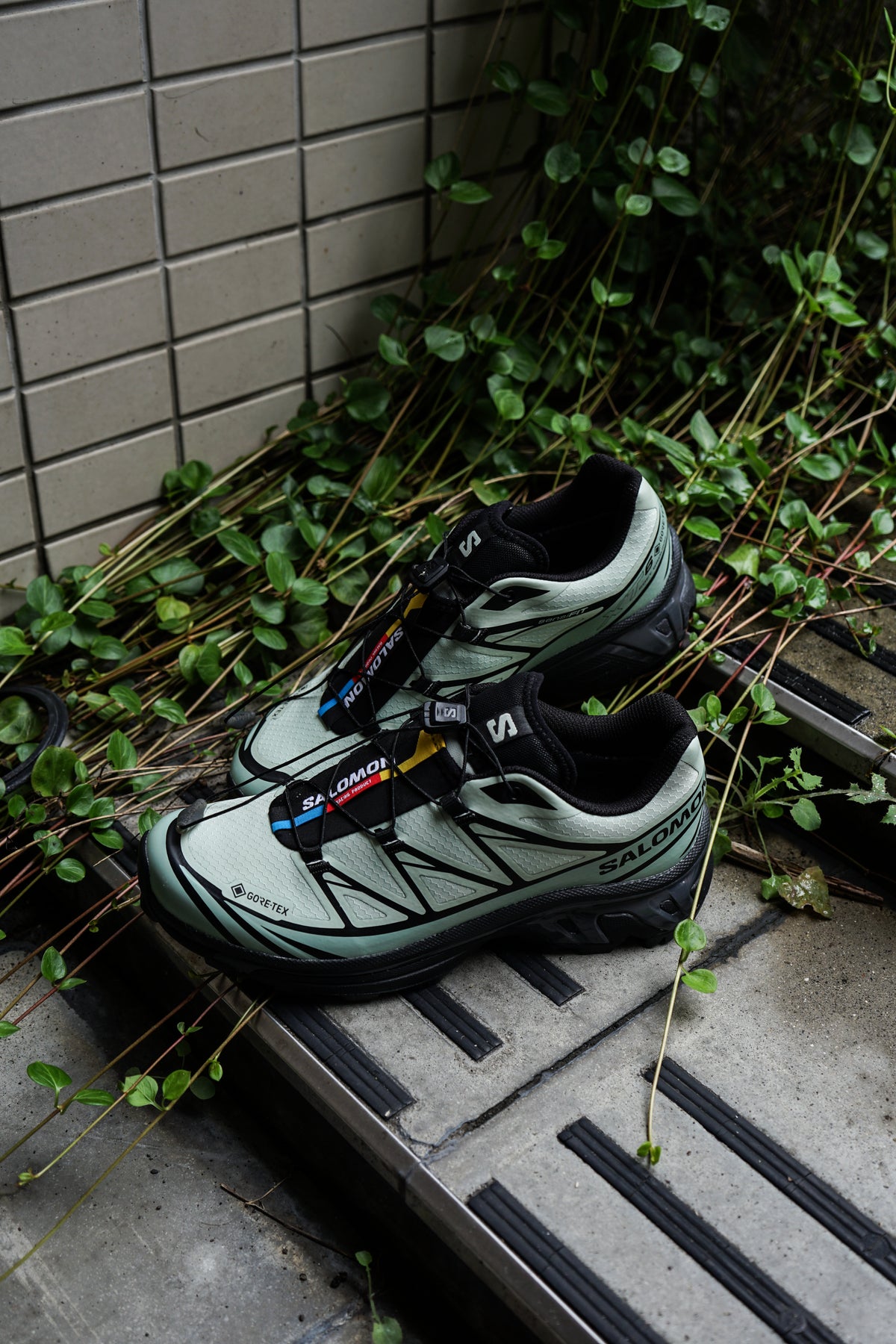 【9/16(水)発売】XT-6 GTX ( SEA FOAM/GREEN MILIEU/BLACK)