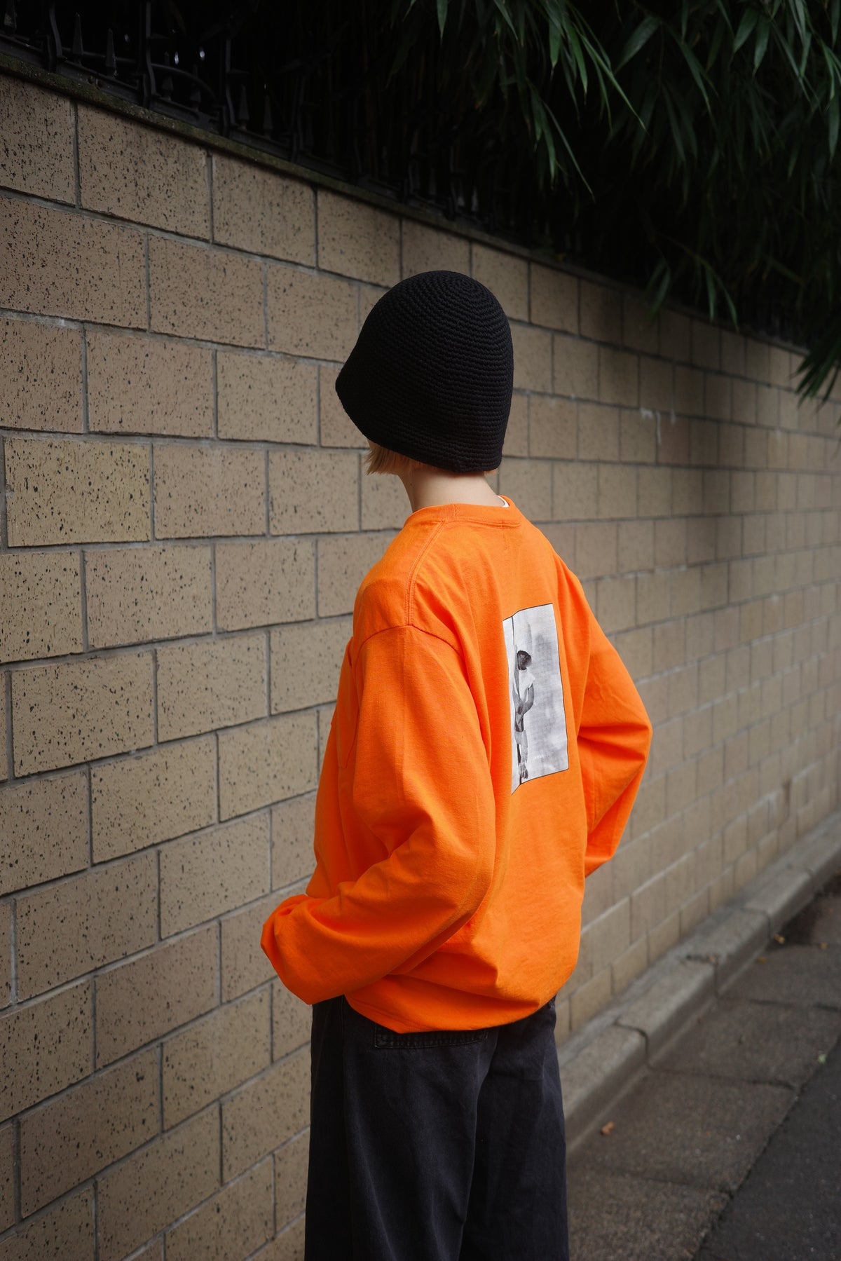 Dole LS TEE
