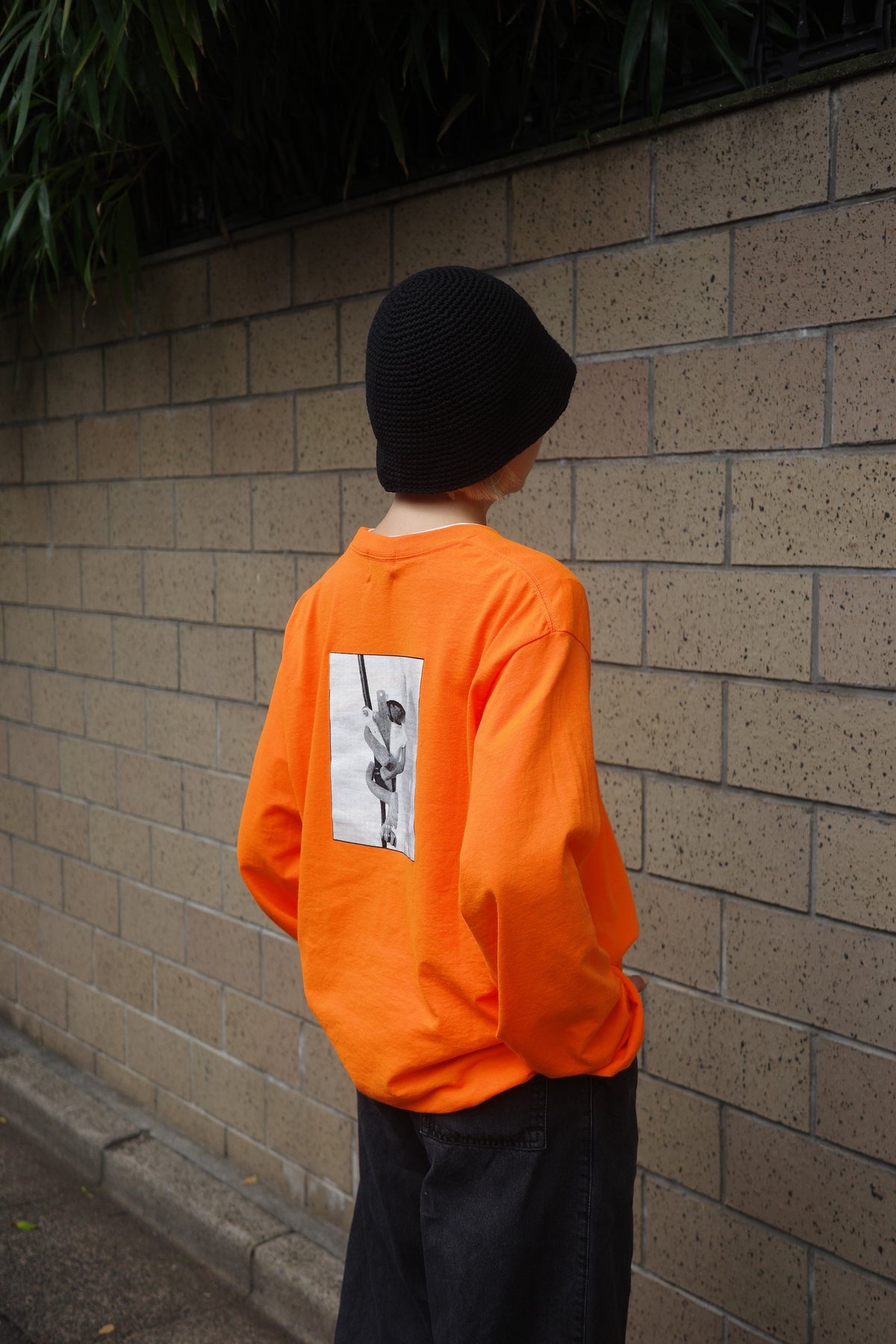 Dole LS TEE