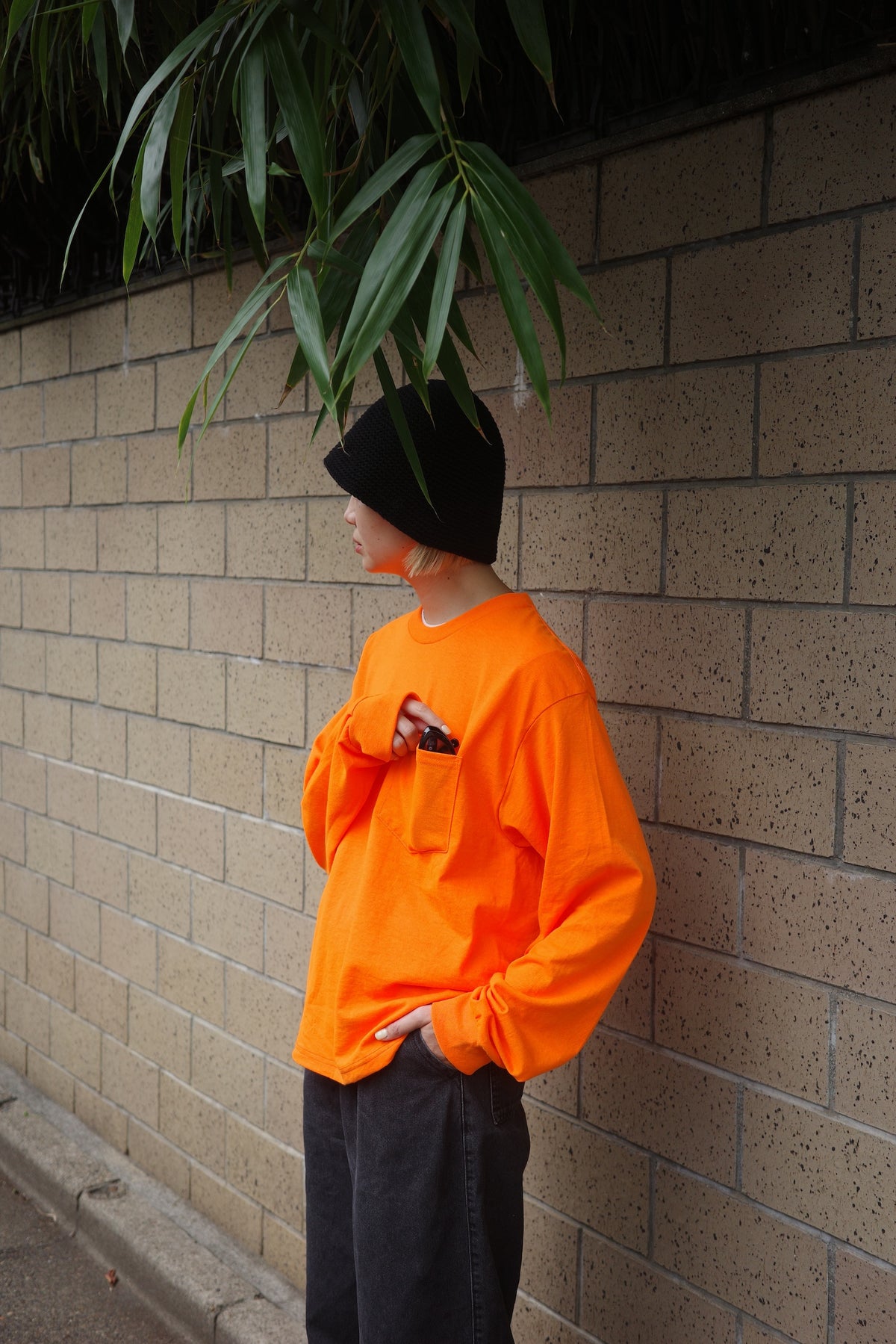 Dole LS TEE