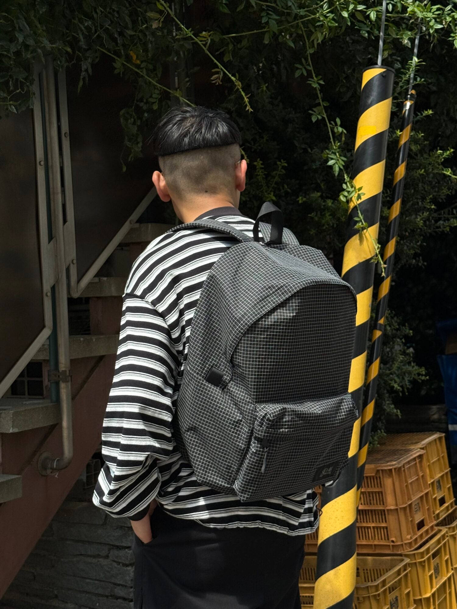 Grid Back Pack