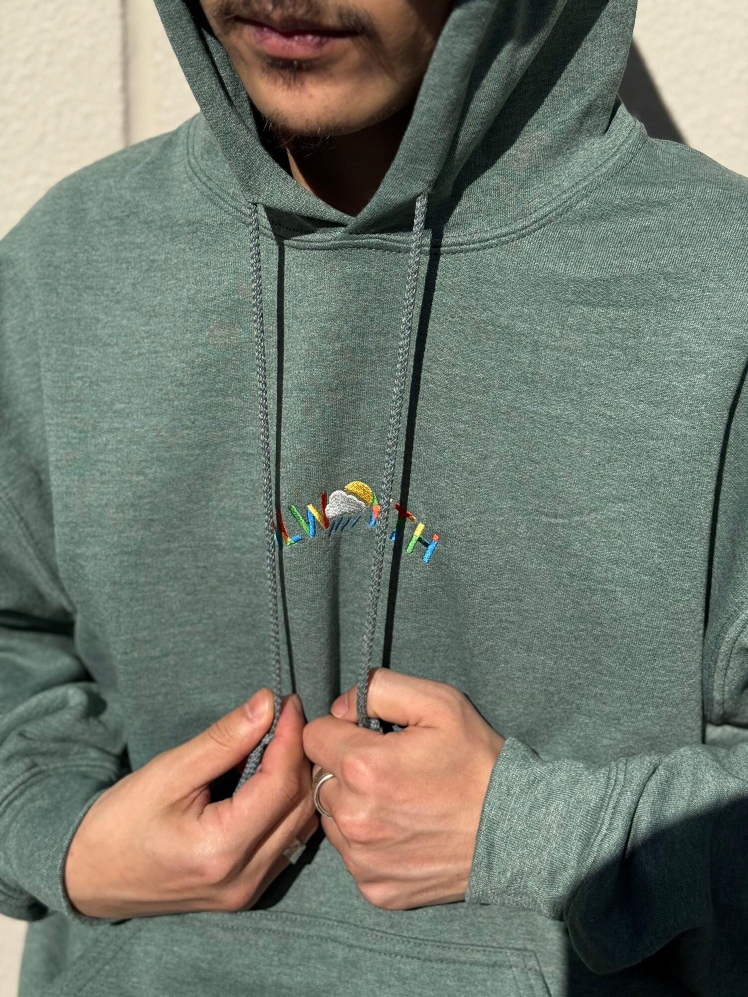Alwayth “Multi-colored embroidery Hoodie”