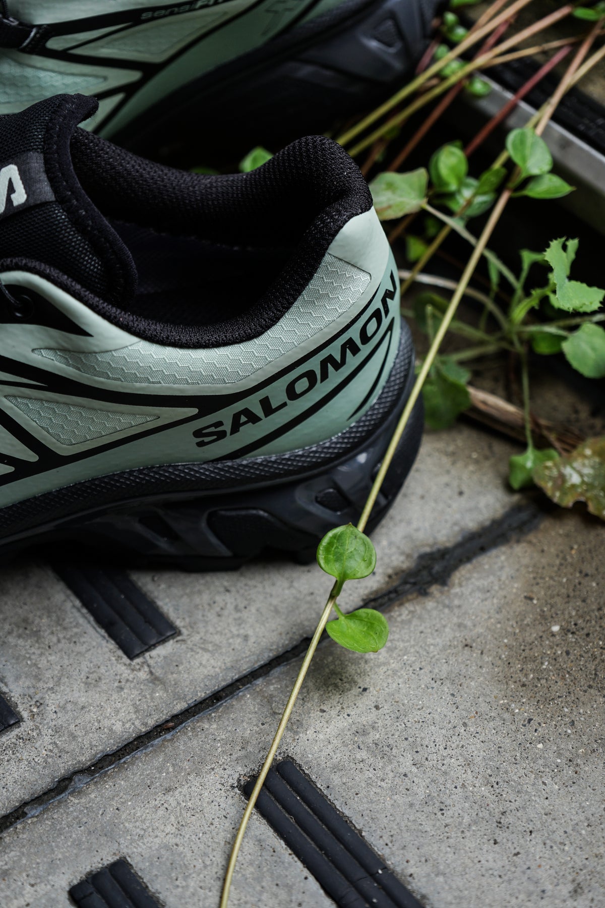 【9/16(水)発売】XT-6 GTX ( SEA FOAM/GREEN MILIEU/BLACK)