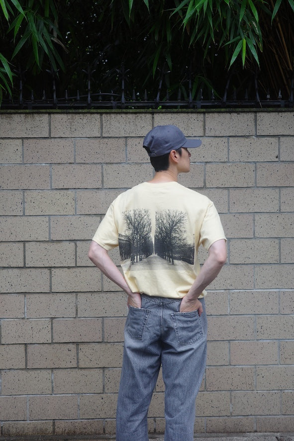 中庭TEE