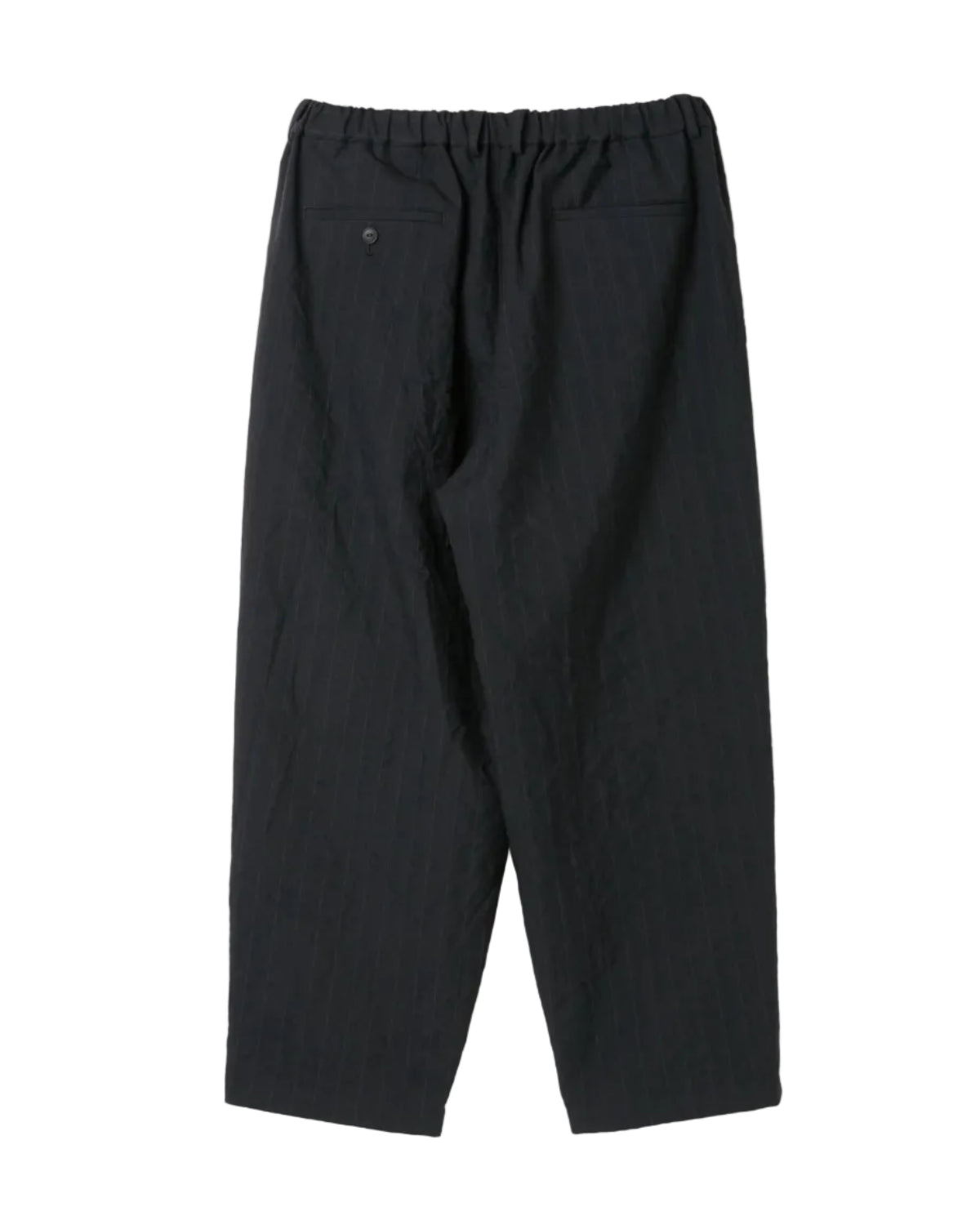 【10/10(土)発売】DOUBLE PLEATED WIDE EASY PANTS