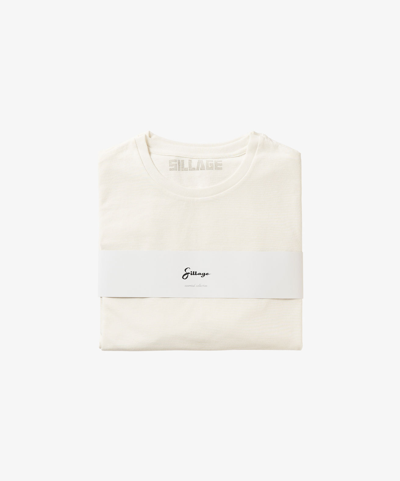 写真 2026-01-30 11 55 26 (2)